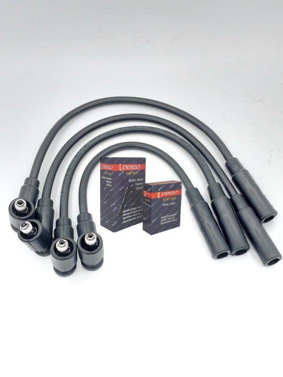 وایرشمع وانت باردو یورو 4 دنزو